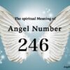 エンジェルナンバー２４６の意味「天使はあなたのニーズに応えようとしています」